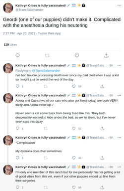animal_abuse1.png