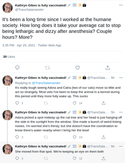 animal_abuse2.png