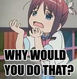 why~.jpg