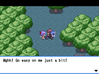 gn_enbu_ss103.png