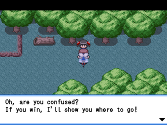 gn_enbu_ss106.png
