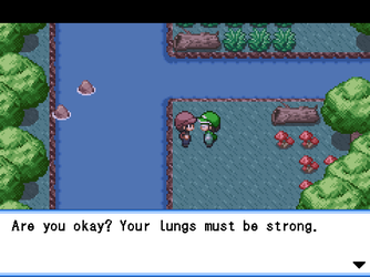 gn_enbu_ss126.png