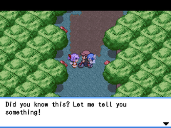 gn_enbu_ss133.png