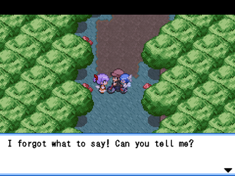 gn_enbu_ss136.png