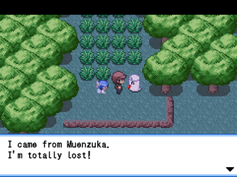 gn_enbu_ss144.png