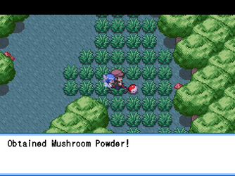 gn_enbu_ss155.png