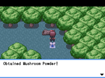gn_enbu_ss179.png