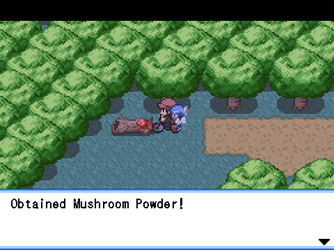 gn_enbu_ss185.png