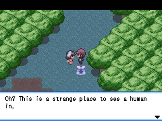 gn_enbu_ss199.png