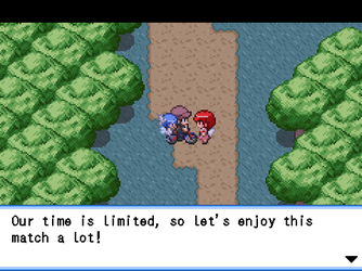 gn_enbu_ss205.png
