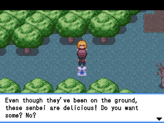 gn_enbu_ss213.png