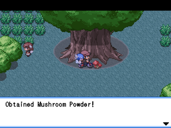 gn_enbu_ss216.png