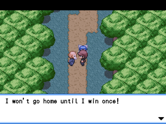 gn_enbu_ss233.png