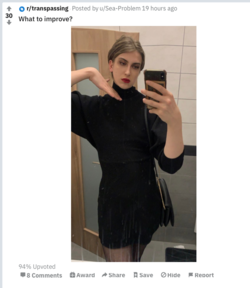 reddit trans p 3.png