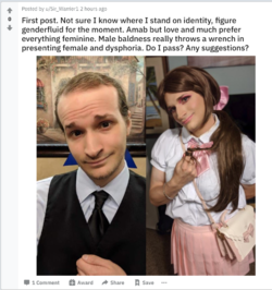 trans p 4.png