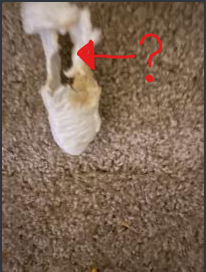 the hole.png