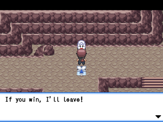 gn_enbu_ss018.png