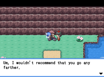gn_enbu_ss050.png