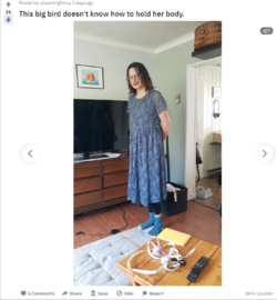 1620137491933.png
