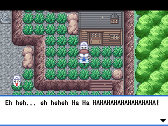 gn_enbu_ss133.png
