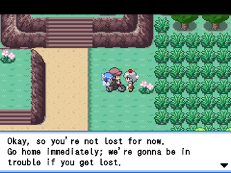 gn_enbu_ss161.png