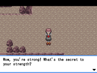 gn_enbu_ss209.png