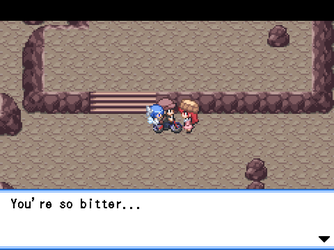 gn_enbu_ss224.png