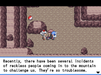 gn_enbu_ss226.png