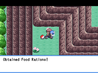 gn_enbu_ss276.png