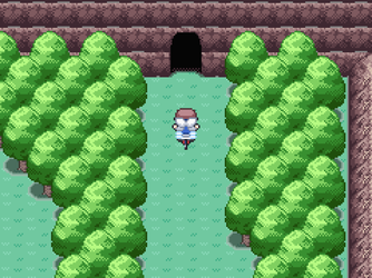 gn_enbu_ss307.png