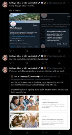 Screenshot_2021-05-05 Tweets with replies by Kathryn Gibes is fully vaccinated 💉 🏳️‍⚧️ ✨ ( Tra...png