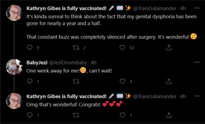 Screenshot_2021-05-05 Tweets with replies by Kathryn Gibes is fully vaccinated 💉 🏳️‍⚧️ ✨ ( Tra...png