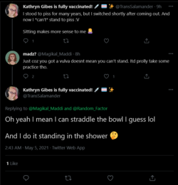 Screenshot_2021-05-05 Kathryn Gibes is fully vaccinated 💉 🏳️‍⚧️ ✨ on Twitter.png