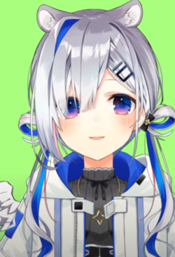 1620219333431.png