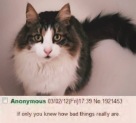 if only.png