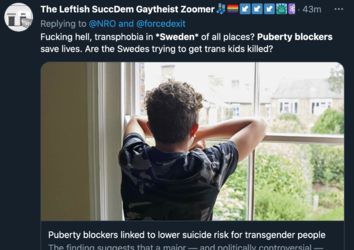 literal violencee.png
