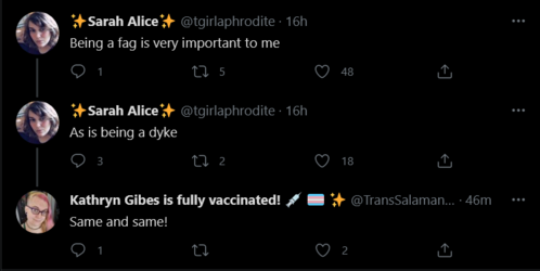 Screenshot_2021-05-06 Tweets with replies by Kathryn Gibes is fully vaccinated 💉 🏳️‍⚧️ ✨ ( Tra...png