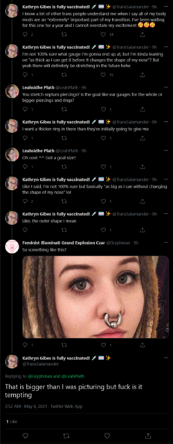 Screenshot_2021-05-08 Kathryn Gibes is fully vaccinated 💉 🏳️‍⚧️ ✨ on Twitter(1).png