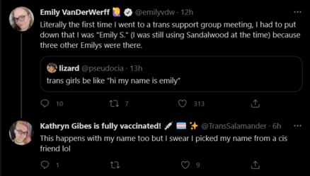 Screenshot_2021-05-08 Tweets with replies by Kathryn Gibes is fully vaccinated 💉 🏳️‍⚧️ ✨ ( Tra...png
