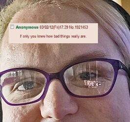 still.jpeg