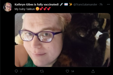 Screenshot_2021-05-10 Tweets with replies by Kathryn Gibes is fully vaccinated 💉 🏳️‍⚧️ ✨ ( Tra...png
