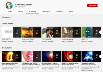 youtube playlist.png