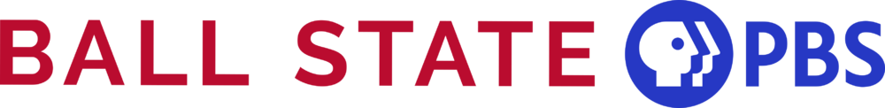 Wipb-color-cobranded-logo-oqovSvs.png