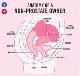 non-prostate-owner.jpg