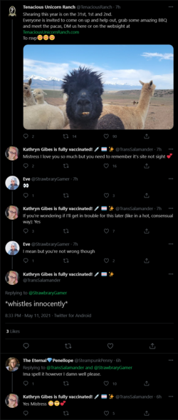 Screenshot_2021-05-12 Kathryn Gibes is fully vaccinated 💉 🏳️‍⚧️ ✨ on Twitter(2).png