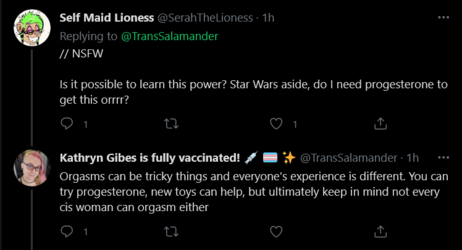 Screenshot_2021-05-12 Kathryn Gibes is fully vaccinated 💉 🏳️‍⚧️ ✨ on Twitter(2).png