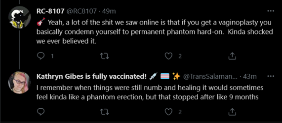 Screenshot_2021-05-12 Tweets with replies by Kathryn Gibes is fully vaccinated 💉 🏳️‍⚧️ ✨ ( Tra...png