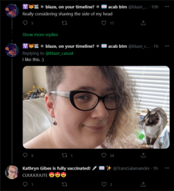 Screenshot_2021-05-12 Tweets with replies by Kathryn Gibes is fully vaccinated 💉 🏳️‍⚧️ ✨ ( Tra...png