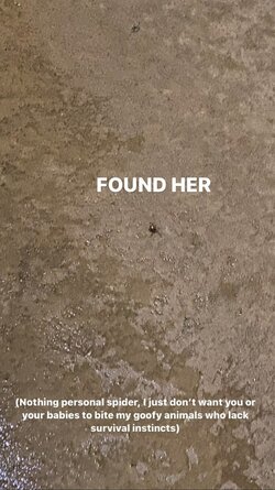 010.jpg