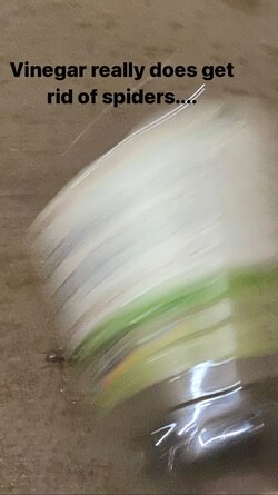 012.jpg